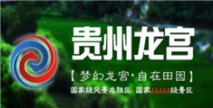 美女射入视频