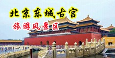 美女上床被艹视频在线看中国北京-东城古宫旅游风景区